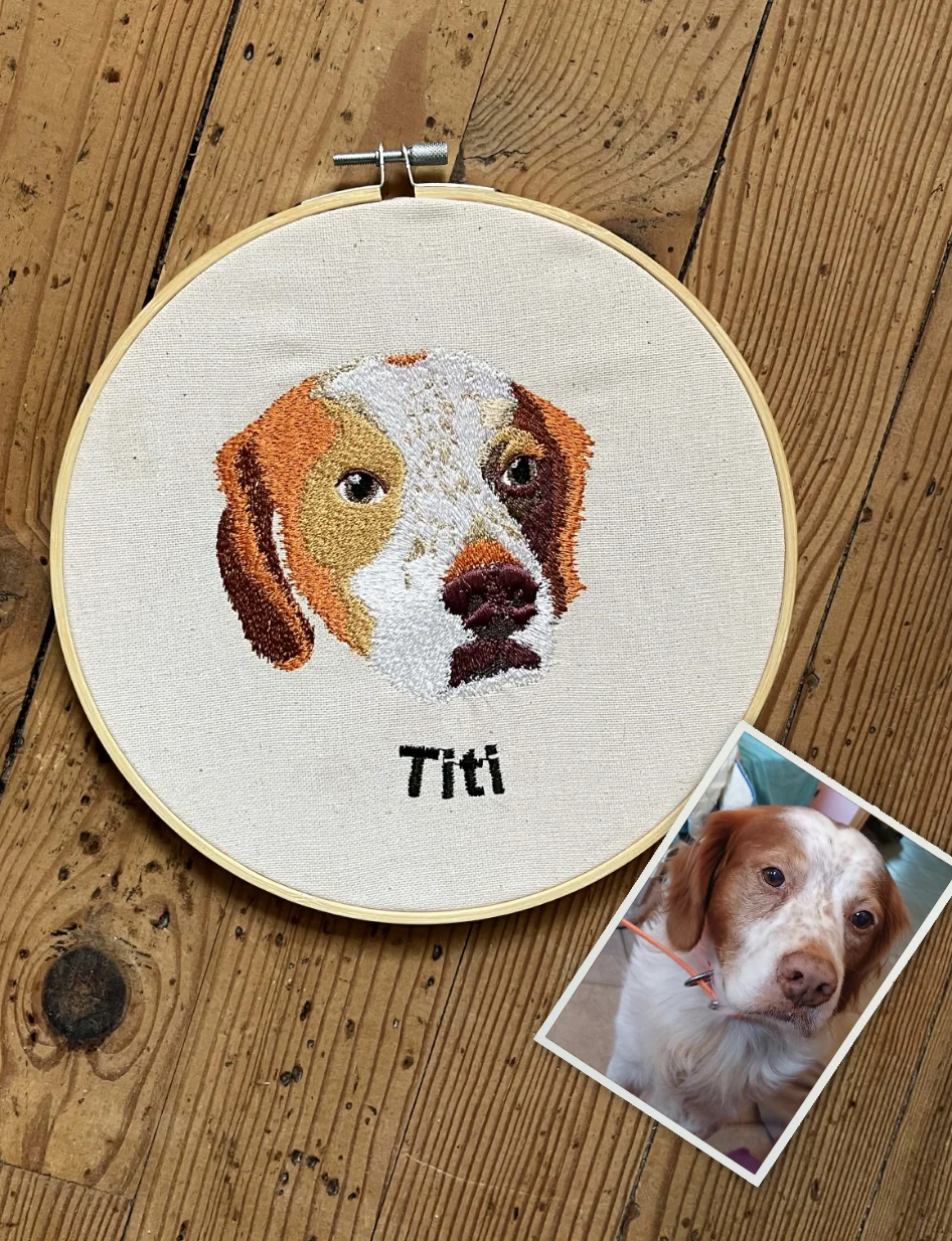 Exemple Broderie Custom Moi Ça